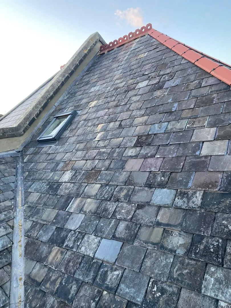 Roof Repairs